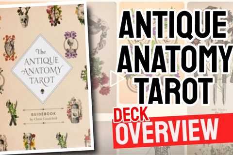 Antique Anatomy Tarot Review (All 78 Antique Anatomy Tarot Cards Revealed!)