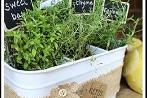 How to Make a Mini Herb Garden - A Beginner's Guide to Portable Herb Gardens