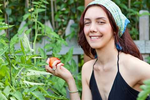 Tips For Growing Beans in Containers