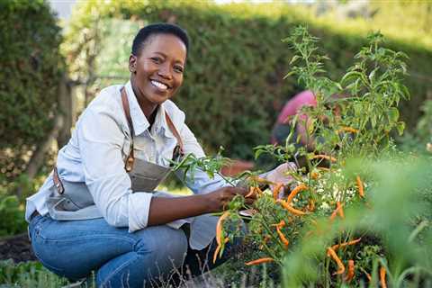 Using Straw in a Vegetable Garden