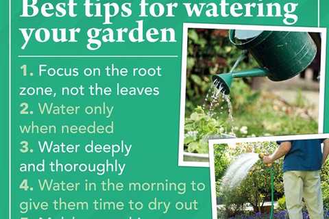 Beginner Gardening Tips - Urban Gardening Tips and Tricks For Beginners