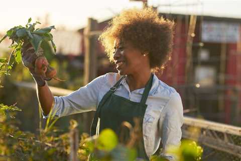 The Best Vegetable Gardening Book on Growing Vegetables