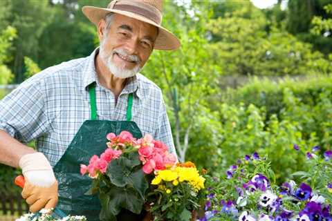 Tips For Growing Tomatoes From Seed