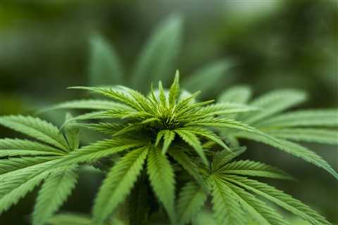 House poised to pass bill legalizing marijuana