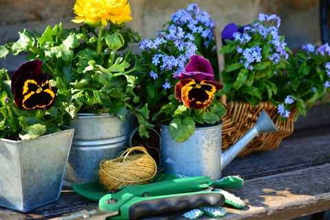 How to Make a Patio Garden