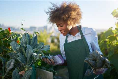 Easy Vegetables to Grow in Spring