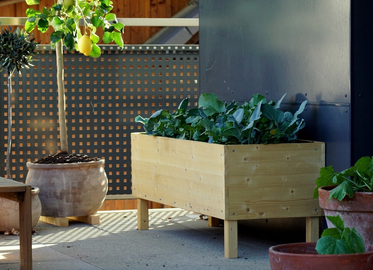 How to Make an Indoor Garden Box