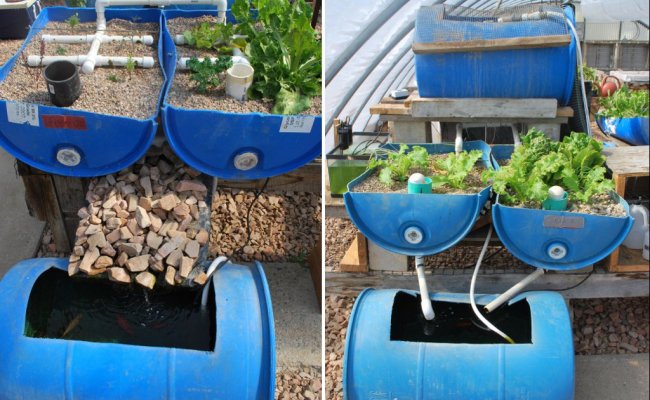 How to Make a Small Aquaponics System