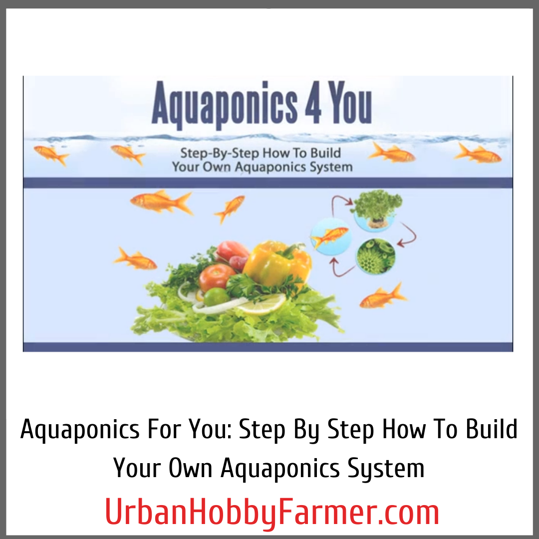 How to Make Your Own Aquaponics