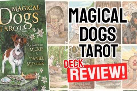 Magical Dogs Tarot Review (All 78 Magical Dogs Tarot Cards REVEALED!)