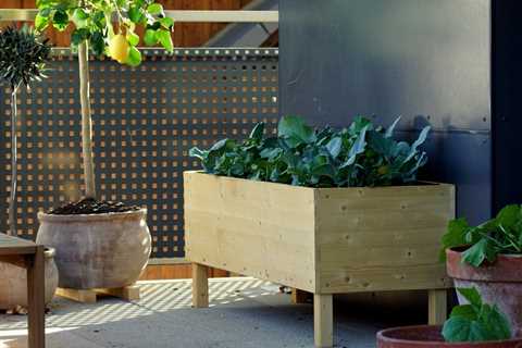 How to Make an Indoor Garden Box