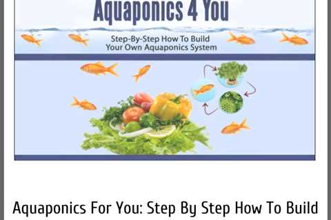 How to Make Your Own Aquaponics