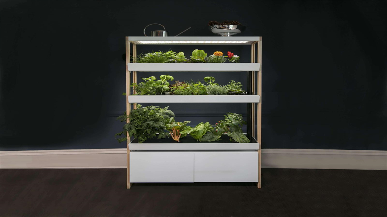 Can Hydroponics Be Done Indoors?