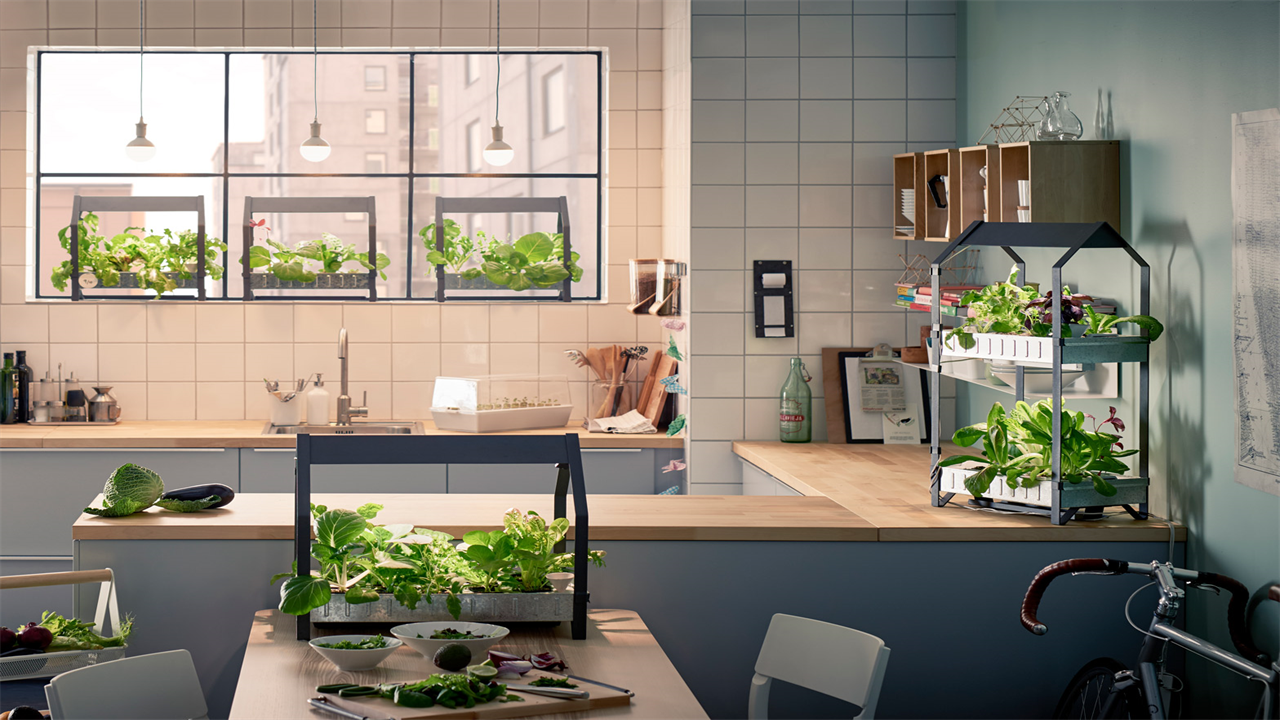 Choosing a Hydroponic Garden For Your Kitchen