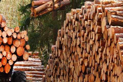 How big is the forestry industry in the us?