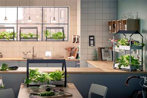 Choosing a Hydroponic Garden For Your Kitchen