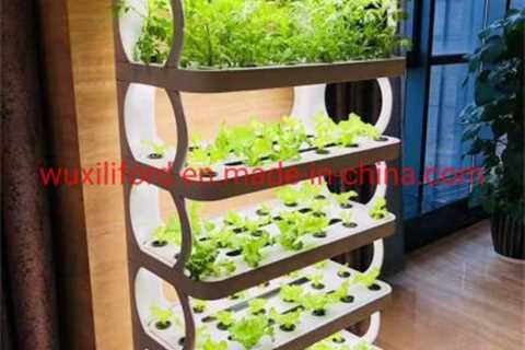 What is Indoor Hydroponic Gardening?