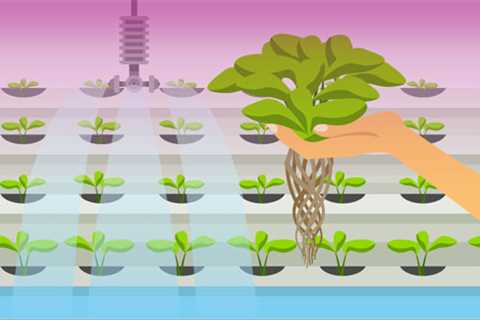 What is Hydroponic Gardening?