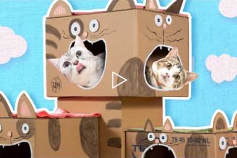 DIY Cat House - How to Make a Cat Tree from Cardboard | Easy Cat Furniture & Craft Projects