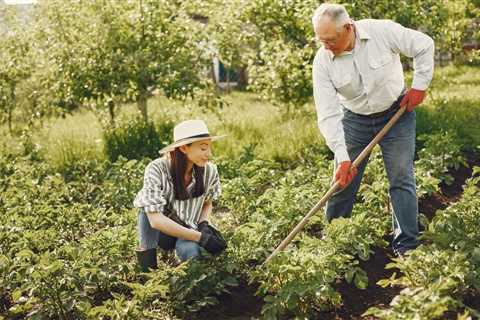 Early Spring Gardening Tips For Spring Flower Bed Maintenance