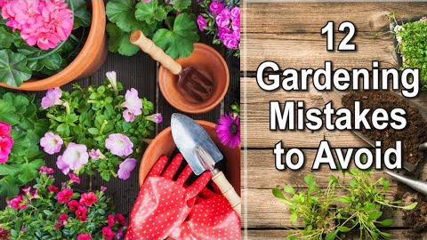 Gardening Tips: Common Gardening Mistakes to Avoid