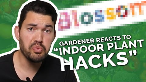 Gardener Roasts Dumb Indoor Gardening Hacks