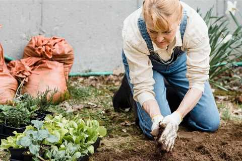 Buzzfeed Herb Garden Gifts - Which Gardening Kits For Beginners Are the Most Effective?