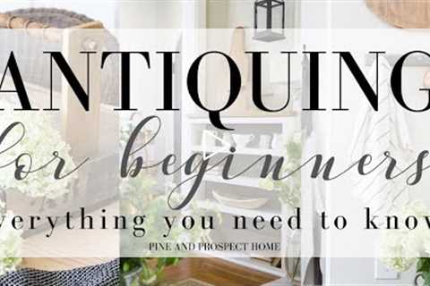 Antiquing For Beginners