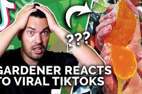 Gardener Reacts to Mind-Blowing Gardening TikToks 🤯