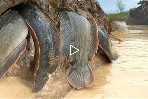 Best Unique Lucky Fishing! fish in hole river water Catch by hand near the road