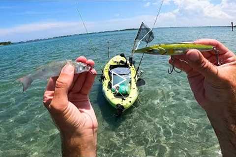 Clear Water Flats Sight Fishing With LIVE BAIT and Topwater - Big Fish!