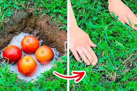 New Gardening Hacks That Will Blow Your Mind || Growing Hacks For Plant Lovers