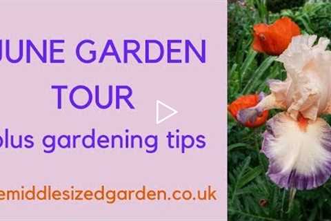 June garden tour plus June gardening tips...