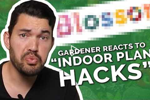 Gardener Roasts Dumb Indoor Gardening Hacks