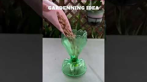 Empty bottles can grow flowers like this😆🌴🌱🌿😇/gardening ideas 😇…. @funny animal sunny