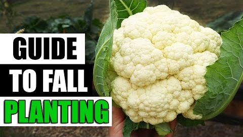 Fall Vegetable Gardening - The Complete Guide
