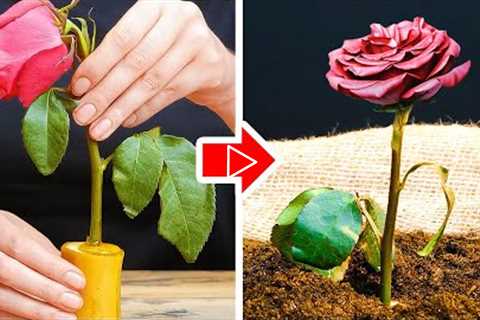 35 Helpful Gardening Tips For Plant Lovers || Easy Ways to Grow And Collect Food In Your Garden!