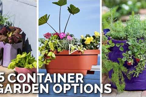 5 Container Gardening Options for Apartment Gardeners