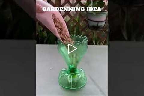 Empty bottles can grow flowers like this😆🌴🌱🌿😇/gardening ideas 😇…. @funny animal sunny