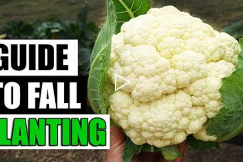 Fall Vegetable Gardening - The Complete Guide