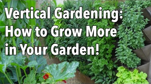 Vertical Gardening - Simple Ideas for a Vertical Vegetable Garden