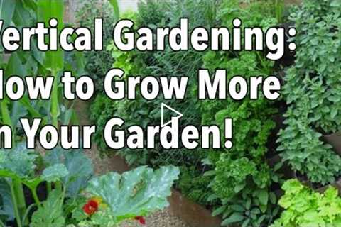 Vertical Gardening - Simple Ideas for a Vertical Vegetable Garden