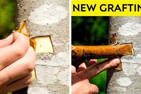 Fantastic Planting And Grafting Hacks To Grow Any Tree Faster 🌳 || Gardening Tips 🌱