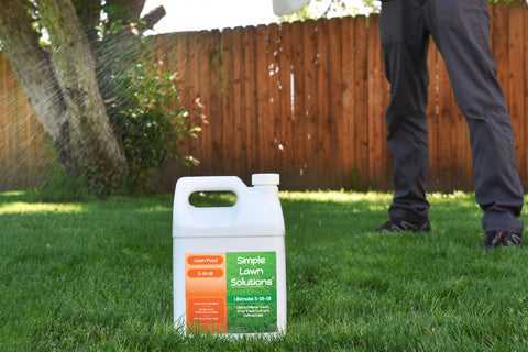 Tips & Best Products for Fall Lawn Care