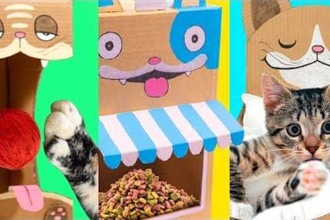 5 DIY Cat Projects from Cardboard | Cute & Easy Ideas for Pets