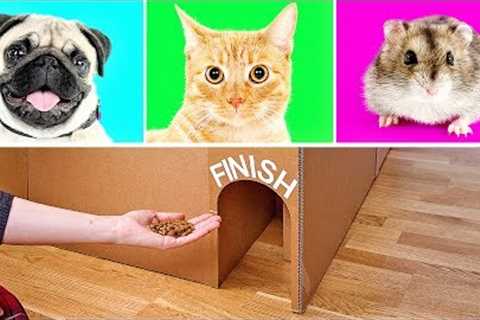 3 Cool Cardboard Crafts That Will Knock Your Socks Off