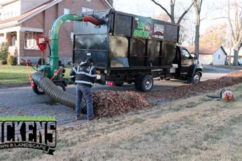 Fall Clean Ups, Scag Windstorm In ACTION