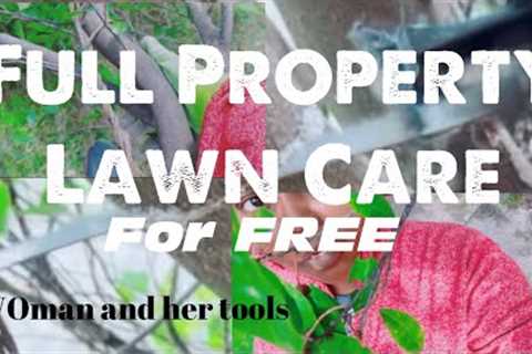 Full Property Lawn Care for Free //DIY