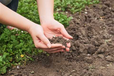 Does Soil pH Change on Its Own Over Time?