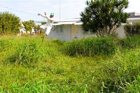 NEW Homeowners COULD Be FINED For Overgrown Property! Cleaning A Newly Renovated Home For FREE!